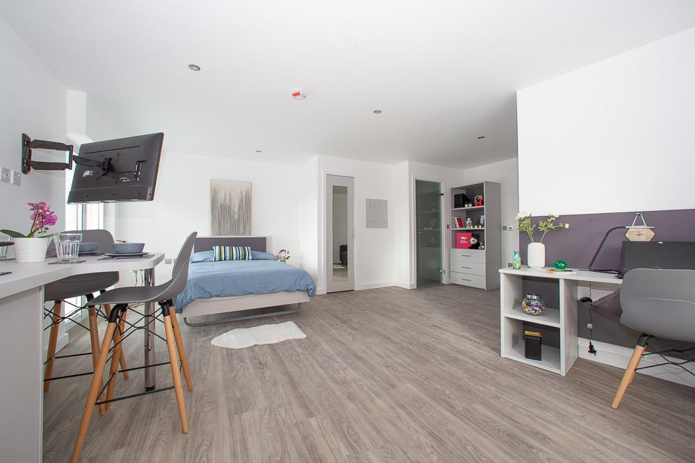 Platinum Studio